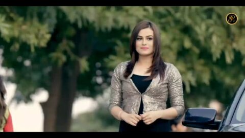 Dil Tenu Rehnda Punjabi Status Video
