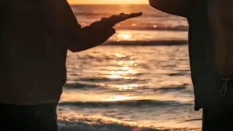 Friendship Video Status Dawonload