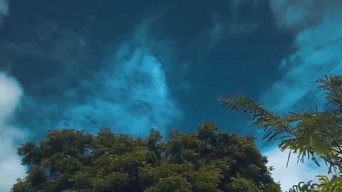 Love Video Status Download 2026