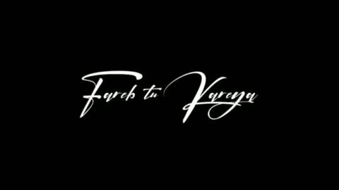 New Punjabi Status Video